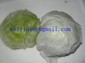 Round Cabbage 1