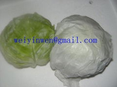 Round Cabbage