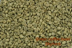 Green coffee bean Extract /Chlorogenic