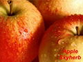 Apple extract (Apple Polyphenols &