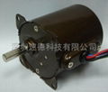 AC MOTOR