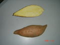 sweet potato 1