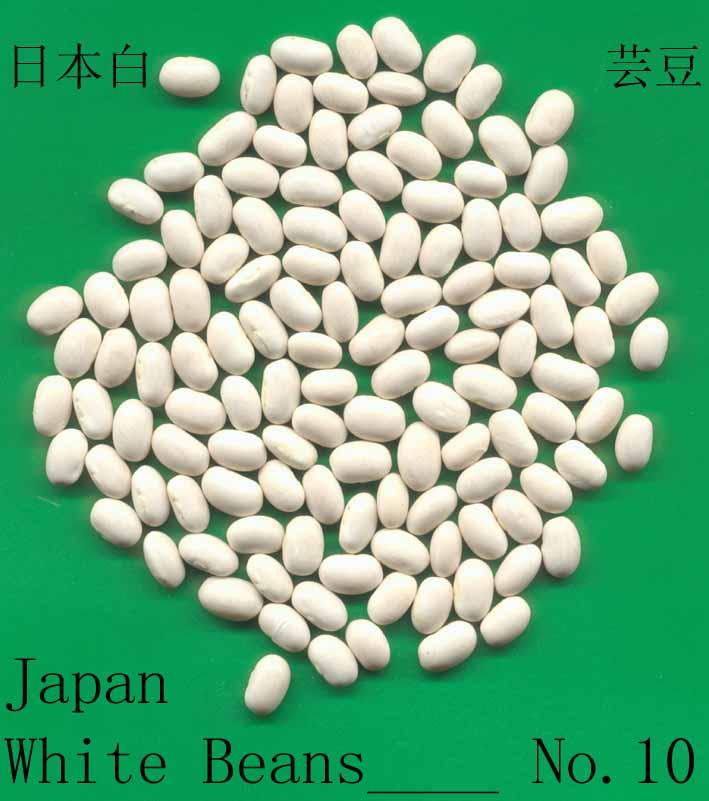 Japan White Beans (China Trading Company) Fresh Vegetables