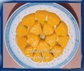 菠蘿罐頭 （長塊）