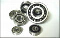 DEEP GROOVE BALL BEARING 1