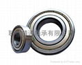 DEEP GROOVE BALL BEARING 5