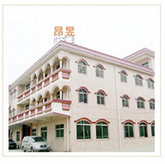 dongguan angyu electronic technology Co., LTD 