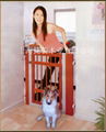 pet gate 1