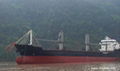 New Double-side Bulk Carrier Ship