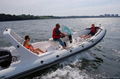 rib boat 6.6meter,with CE 1