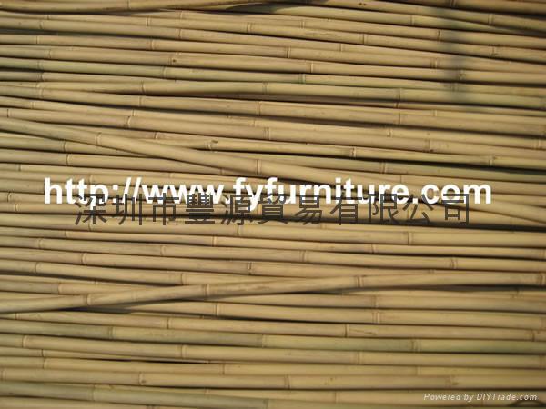 Tonkin bamboo,Bamboo canes 3