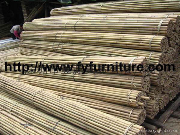 Tonkin bamboo,Bamboo canes 5