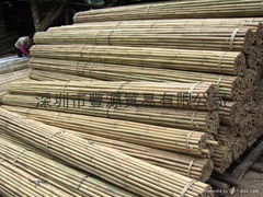 Bamboo Canes