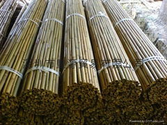 Bamboo Fence