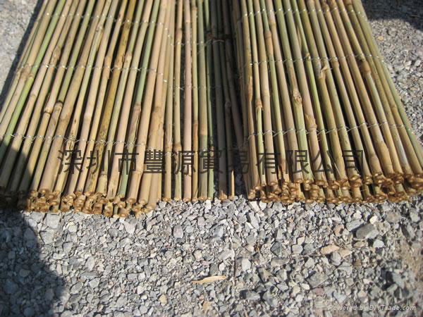 Bamboo Fence 3