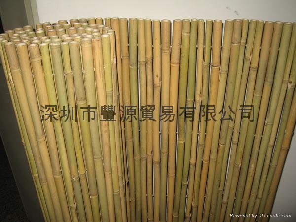 Bamboo Fence 4