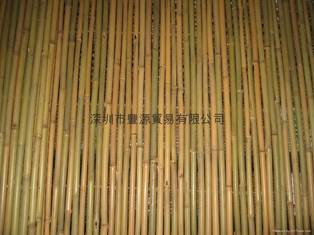 Bamboo Fence 5