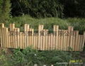 bamboo edging 2