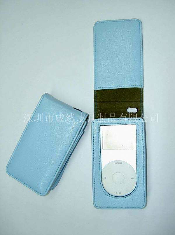 Case for iPod