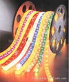 LED Rope Light 1