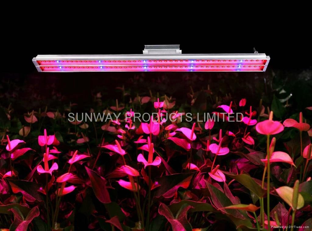 LED Plant Grow Light