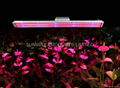 LED Plant Grow Light 1