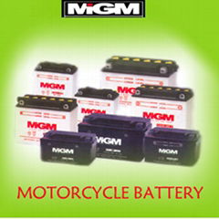 No maintenance Battery