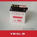 Motorcycle Battery(YB3L-B)