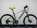 Mountain Bicycle