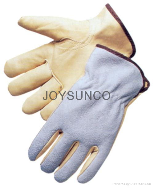 Driver Gloves / Leather Gloves (DCACBK)