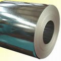 Galvanized Steel Coil (CSC025)