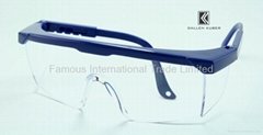 Safety Glasses / SG-101078