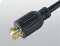 Twist Locking power cords & L14-30P