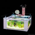 Table Aquarium