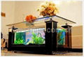 Coffee Table Aquarium