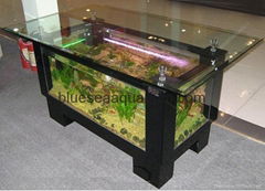 coffee table aquarium