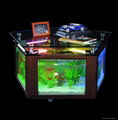 coffee table aquarium 1