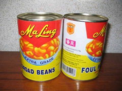 canned broad beans