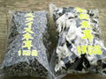 dried black fungus 1