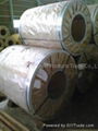 Hot Dipped Galvanized steel 1