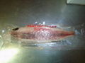 Frozen Red Drum Fillets