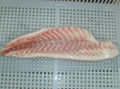 Frozen Red Drum Fillets 3