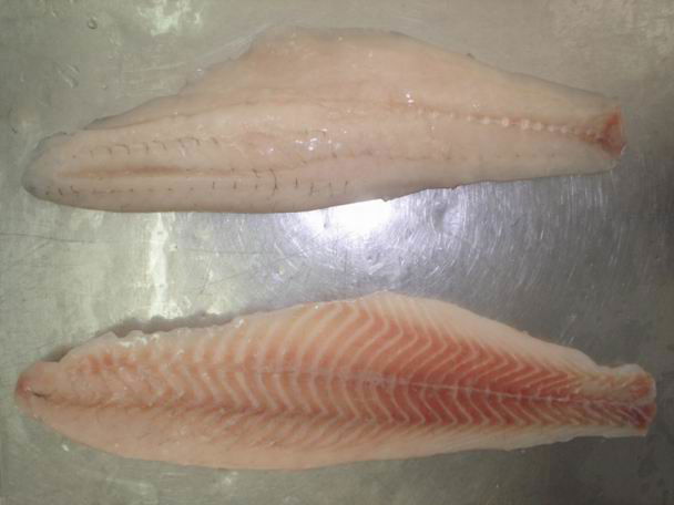 Frozen Seabass Fillets 2