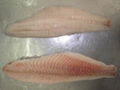 Frozen Seabass Fillets 1