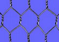 HEXAGNAL WIRE MESH 1