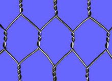 HEXAGNAL WIRE MESH