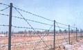 barbed wire/rope link fence 1