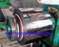 stainless steel circle/coils 4