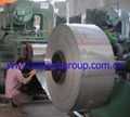 Stainless steel strip/coil/circle 1