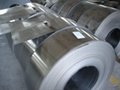 Stainless steel strip/coil/circle 2